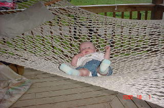 In the hammock